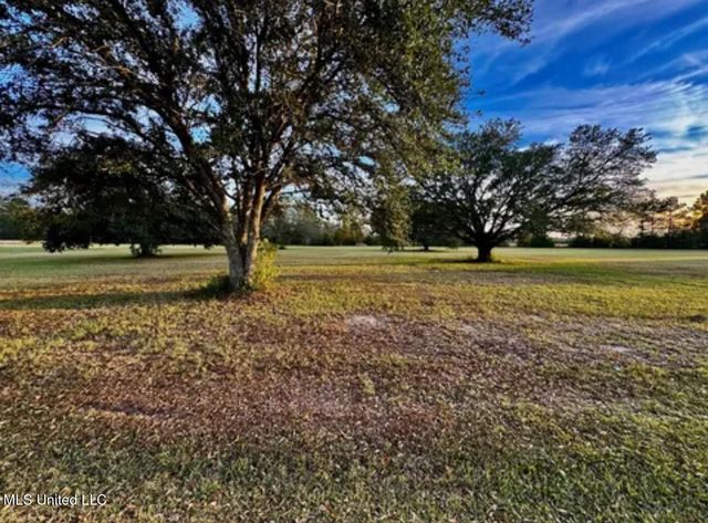 20 Anastasia Drive, Carriere, MS 39426