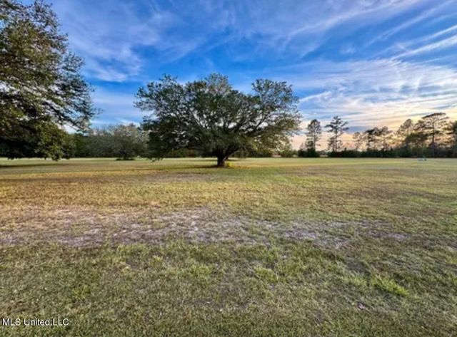 20 Anastasia Drive, Carriere, MS 39426