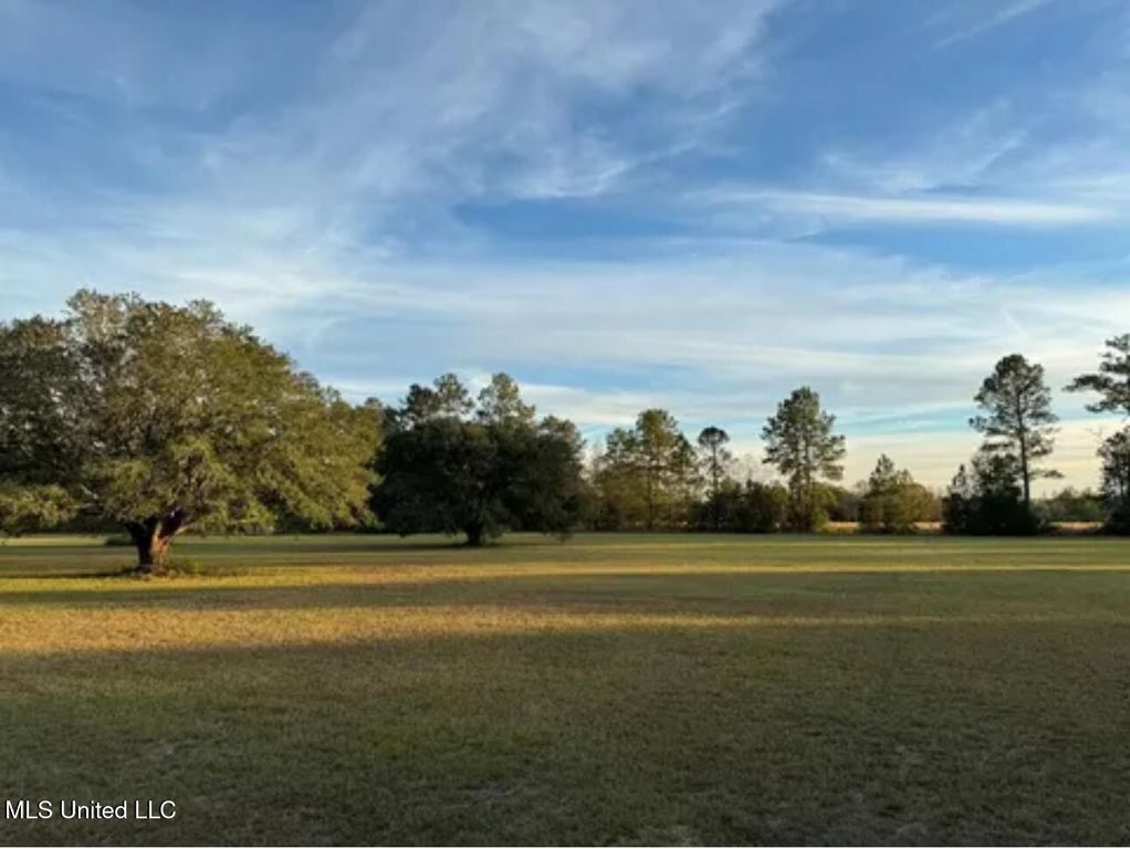 20 Anastasia Drive, Carriere, MS 39426