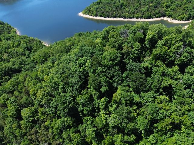 705 Harbor Pointe Dr, Silver Point, TN 38582