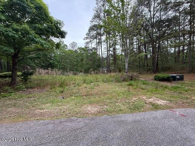 128 Royal Pine Lane, Mc Cormick, SC 29835