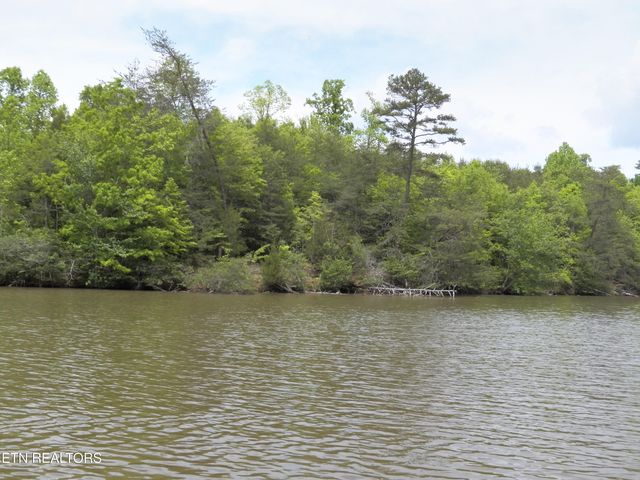 Lakeview Drive, Kingston, TN 37763