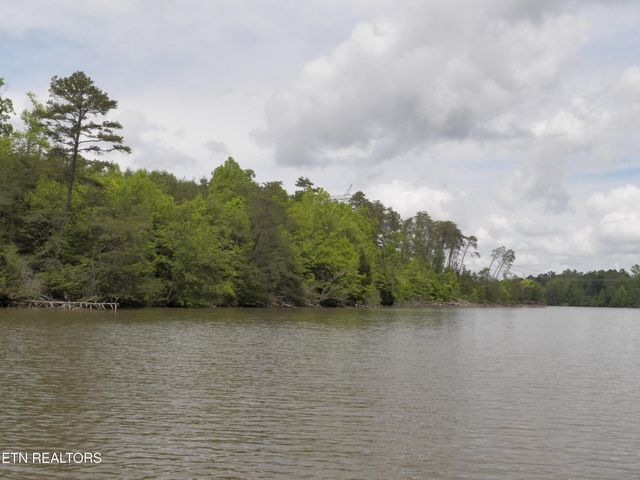 Lakeview Drive, Kingston, TN 37763
