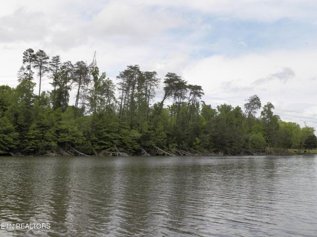 Lakeview Drive, Kingston, TN 37763