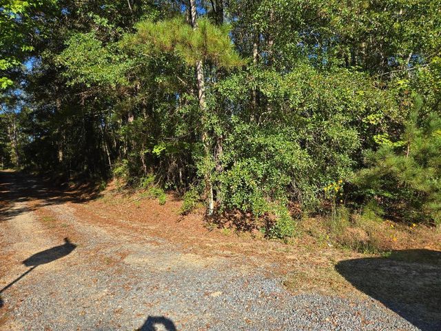 TBD LA- 184, Leesville, LA 71446