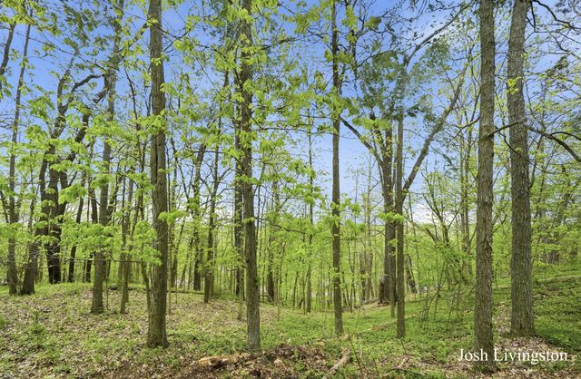 1551 Sargent Avenue Se, Ada Twp, MI 49301