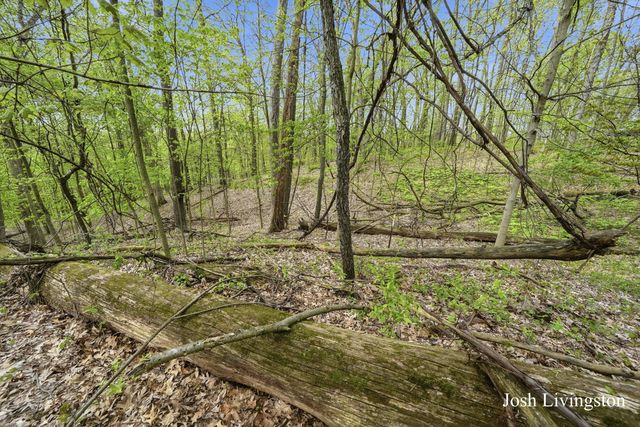 1551 Sargent Avenue Se, Ada Twp, MI 49301