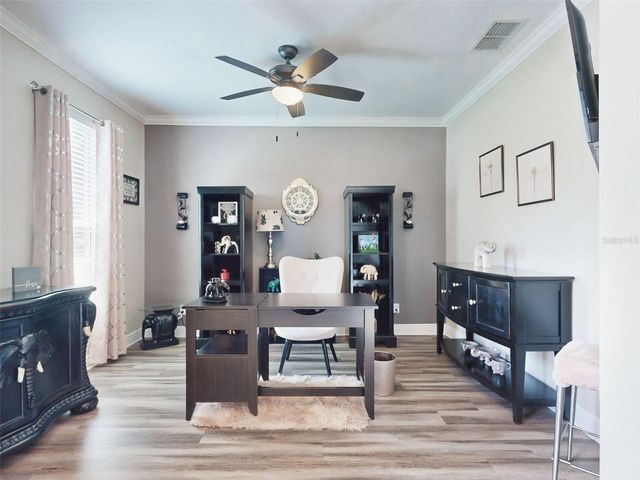 9223 IVYWOOD STREET, Clermont, FL 34711