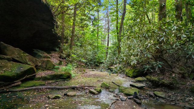 Lot 2 Mullins Point Wicked Oak Road, Campton, KY 41301