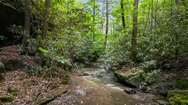 Lot 2 Mullins Point Wicked Oak Road, Campton, KY 41301