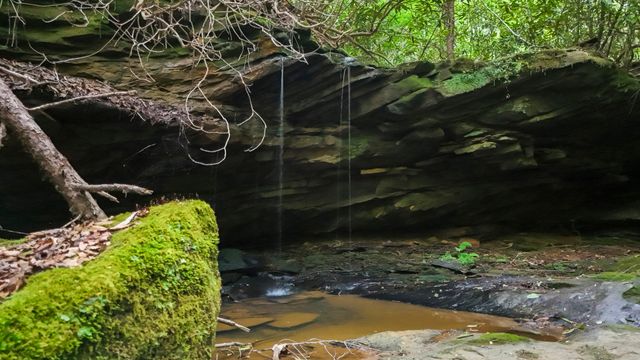 Lot 2 Mullins Point Wicked Oak Road, Campton, KY 41301