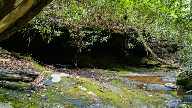 Lot 2 Mullins Point Wicked Oak Road, Campton, KY 41301