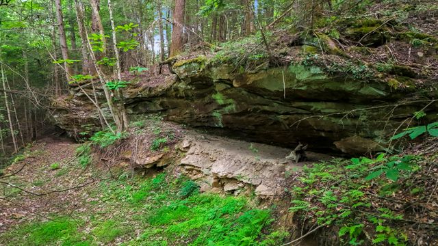 Lot 2 Mullins Point Wicked Oak Road, Campton, KY 41301