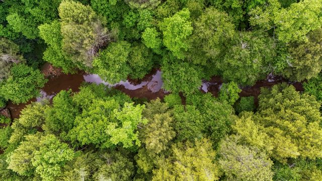 Lot 2 Mullins Point Wicked Oak Road, Campton, KY 41301