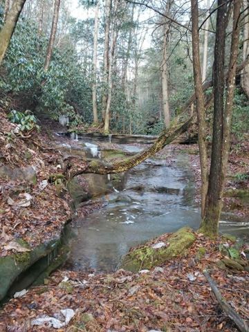 Lot 2 Mullins Point Wicked Oak Road, Campton, KY 41301