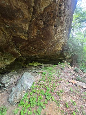 Lot 2 Mullins Point Wicked Oak Road, Campton, KY 41301