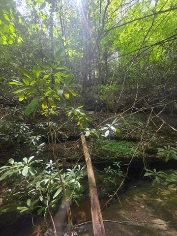 Lot 2 Mullins Point Wicked Oak Road, Campton, KY 41301