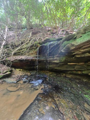 Lot 2 Mullins Point Wicked Oak Road, Campton, KY 41301