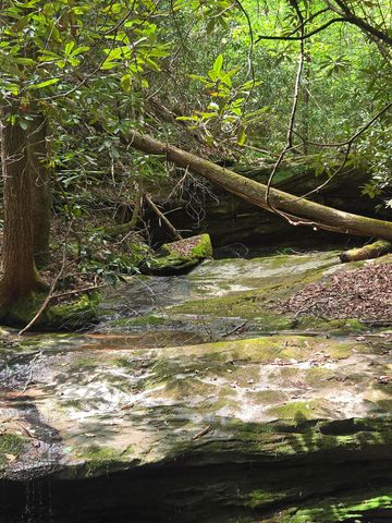 Lot 2 Mullins Point Wicked Oak Road, Campton, KY 41301
