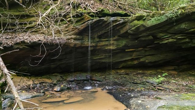 Lot 2 Mullins Point Wicked Oak Road, Campton, KY 41301