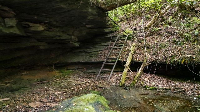 Lot 2 Mullins Point Wicked Oak Road, Campton, KY 41301