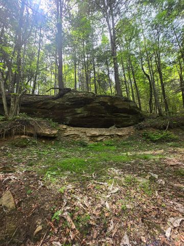 Lot 2 Mullins Point Wicked Oak Road, Campton, KY 41301