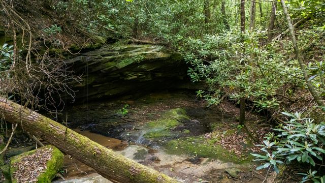 Lot 2 Mullins Point Wicked Oak Road, Campton, KY 41301