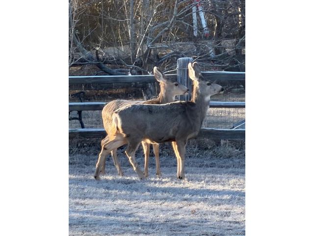 8840 Niwot Rd, Niwot, CO 80503