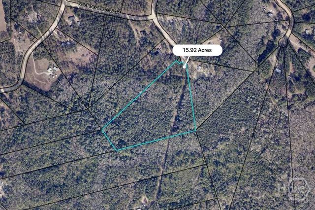 5209 May Road, Ellabell, GA 31308