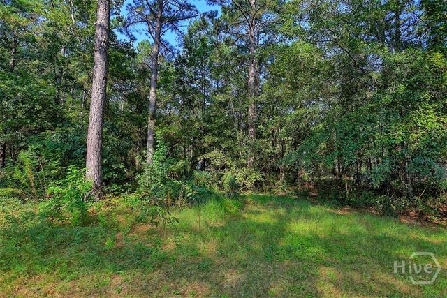 5209 May Road, Ellabell, GA 31308