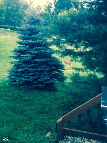 160 Goodnight Road, Martinsville, IN 46151