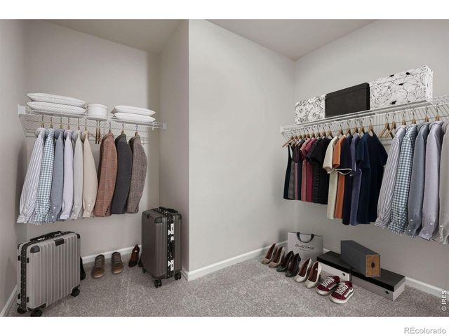 617 Noola Street, Windsor, CO 80550