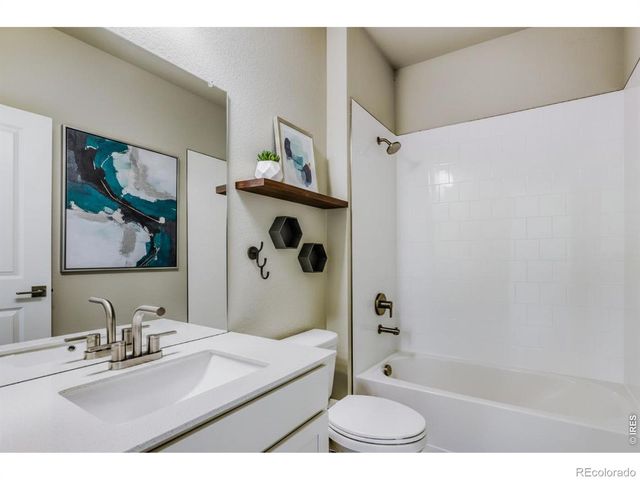 617 Noola Street, Windsor, CO 80550