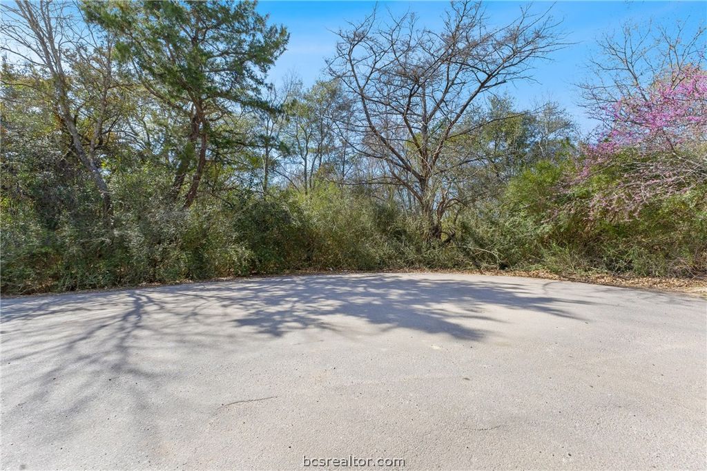 402 Wallace Street, Bryan, TX 77803 — photo 4