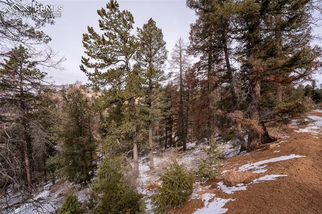 3388-3410 N Mountain Estates Road, Florissant, CO 80816