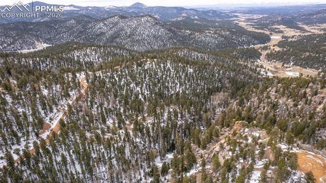 3388-3410 N Mountain Estates Road, Florissant, CO 80816