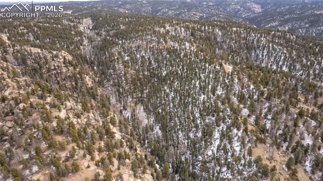 3388-3410 N Mountain Estates Road, Florissant, CO 80816