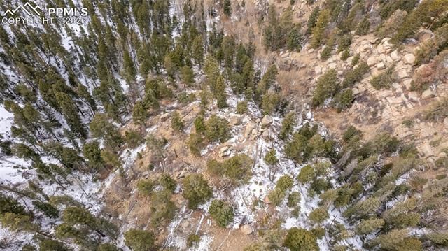 3388-3410 N Mountain Estates Road, Florissant, CO 80816