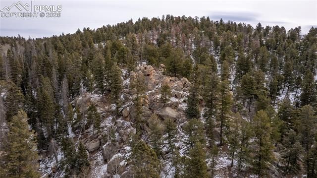3388-3410 N Mountain Estates Road, Florissant, CO 80816