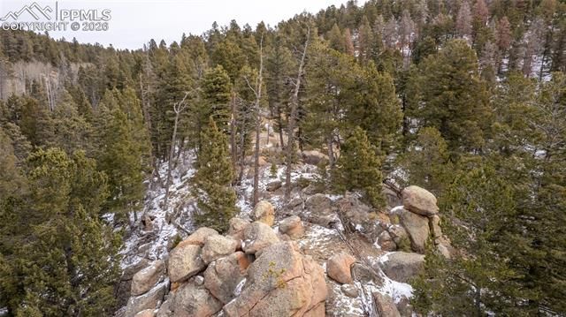 3388-3410 N Mountain Estates Road, Florissant, CO 80816