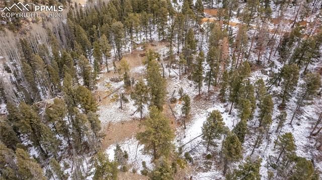 3388-3410 N Mountain Estates Road, Florissant, CO 80816