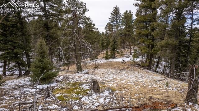 3388-3410 N Mountain Estates Road, Florissant, CO 80816