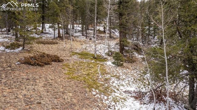 3388-3410 N Mountain Estates Road, Florissant, CO 80816