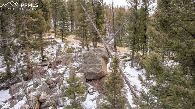 3388-3410 N Mountain Estates Road, Florissant, CO 80816