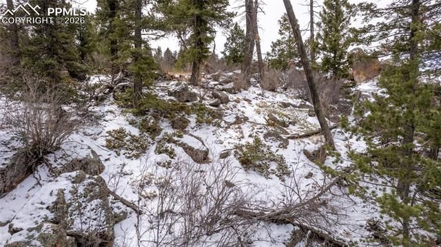 3388-3410 N Mountain Estates Road, Florissant, CO 80816