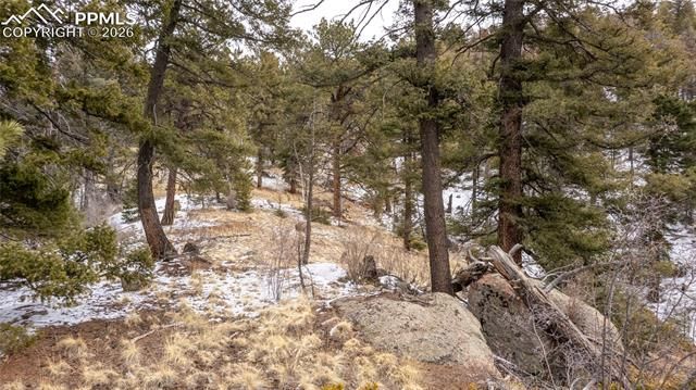 3388-3410 N Mountain Estates Road, Florissant, CO 80816