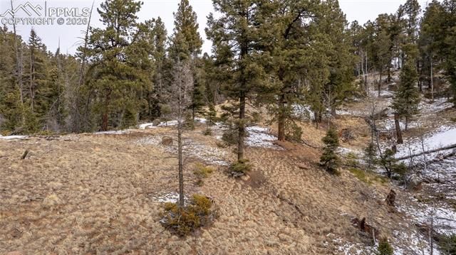 3388-3410 N Mountain Estates Road, Florissant, CO 80816
