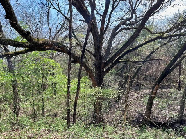 TBD Fm 2645, Ector, TX 75439