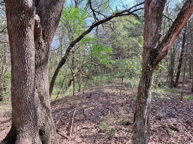 TBD Fm 2645, Ector, TX 75439