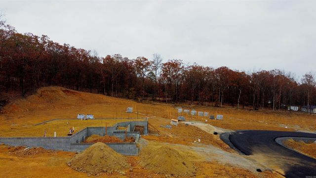 LOT 2 COAL MOUNTAIN ROAD, El Paso, AR 72045